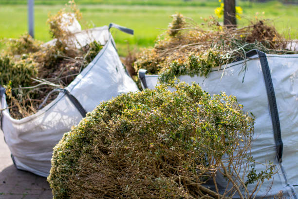 Professional Junk Removal in South St Paul, MN