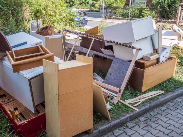 Best Professional Junk Removal  in South St Paul, MN